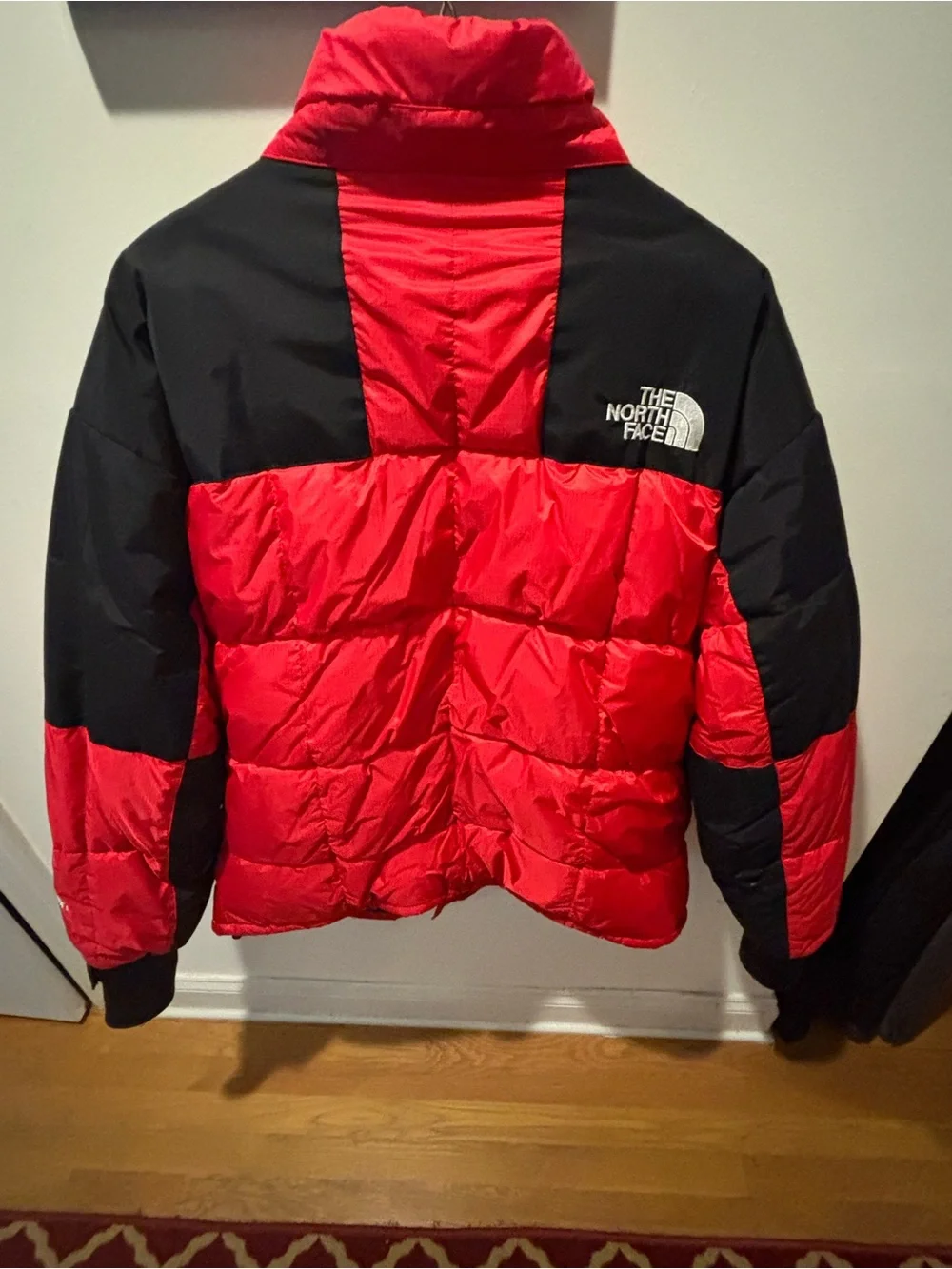 The North Face Red and Black Puffer Jacket. Mint 1996 Gore Dryloft, with hood